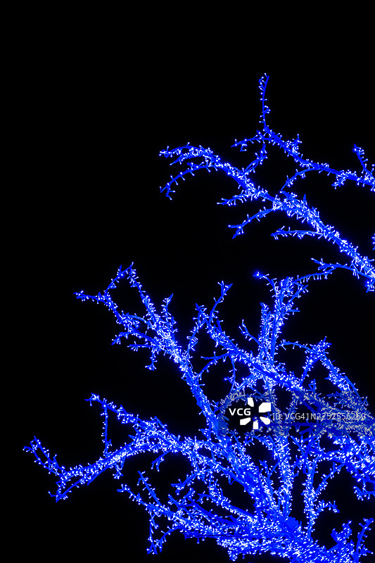 挂满蓝色圣诞彩灯的树图片素材