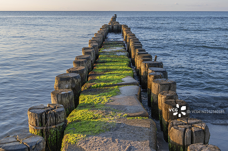 波罗的海的海蚀沟,阿伦斯霍普海滩,达斯,梅克伦堡-前波美拉尼亚,德国图片素材