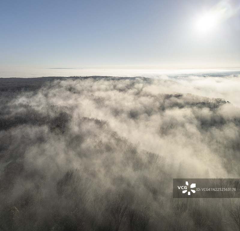 奥地利下奥地利州贝尔恩多夫圣菲特地区，逆光下森林上空的雾气，鸟瞰图图片素材