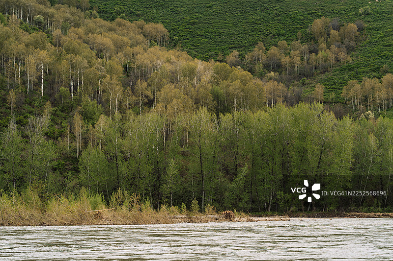 宽阔的河流，岸边是郁郁葱葱的森林和山丘图片素材