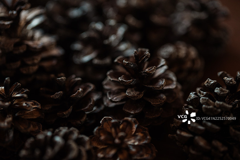 多个松果组成的静物构图，形成重复图案，光线柔和自然，景深较浅。图片素材