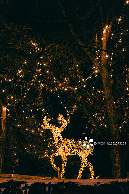 夜幕下，剪影树木间的金色圣诞驯鹿灯雕塑图片素材