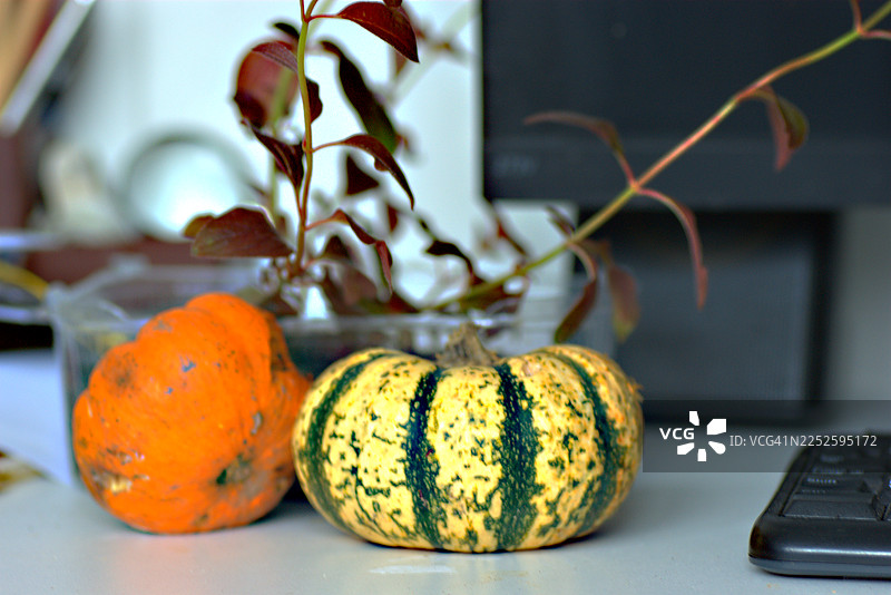 南瓜静物图片素材