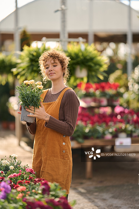 一位女士在阳光明媚的温室里选购植物图片素材