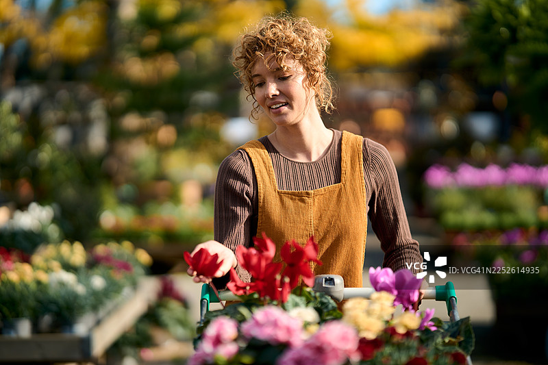 女士在园艺中心选购花卉图片素材