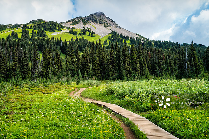 加拿大惠斯勒加里波第省立公园图片素材