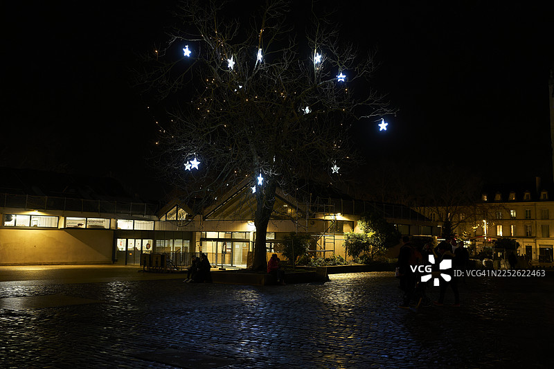 夜晚，城市广场的树上装饰着圣诞星光灯图片素材