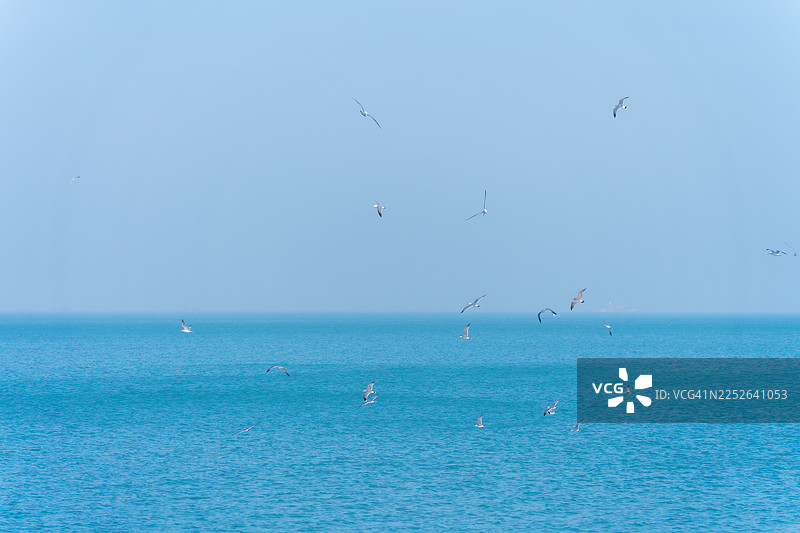 海鸥飞翔在海面上，与天空构成一幅美景图片素材