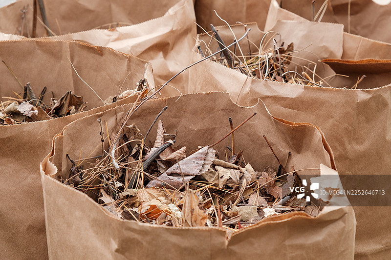 装满树叶、树枝和其他草坪垃圾的庭院垃圾袋图片素材