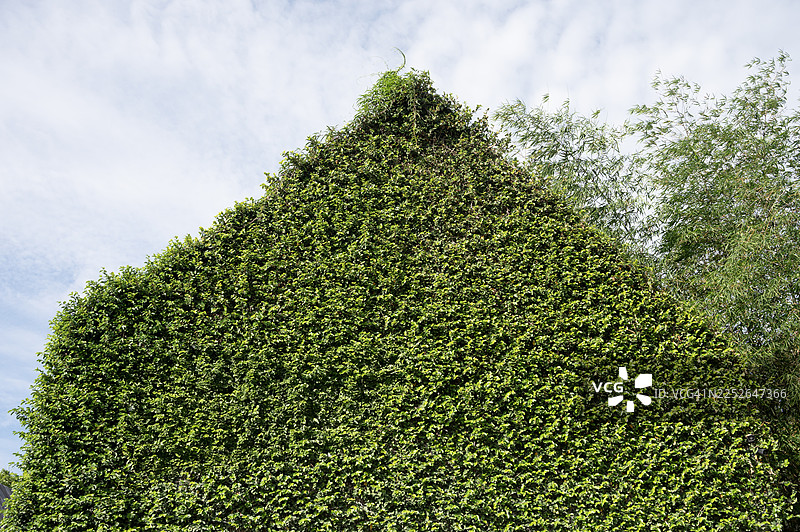 一座顶部有绿色树篱的建筑图片素材