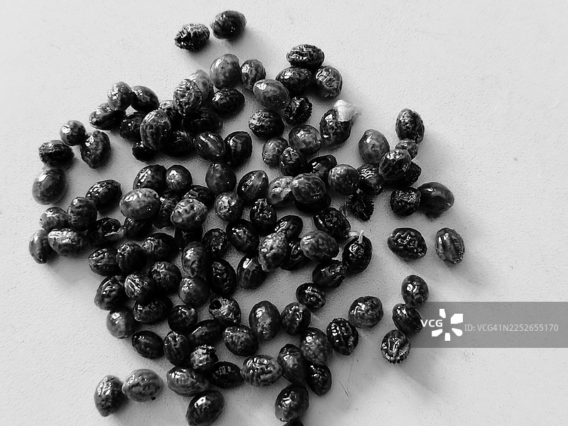 黑白照片特写：白色背景上的木瓜种子图片素材
