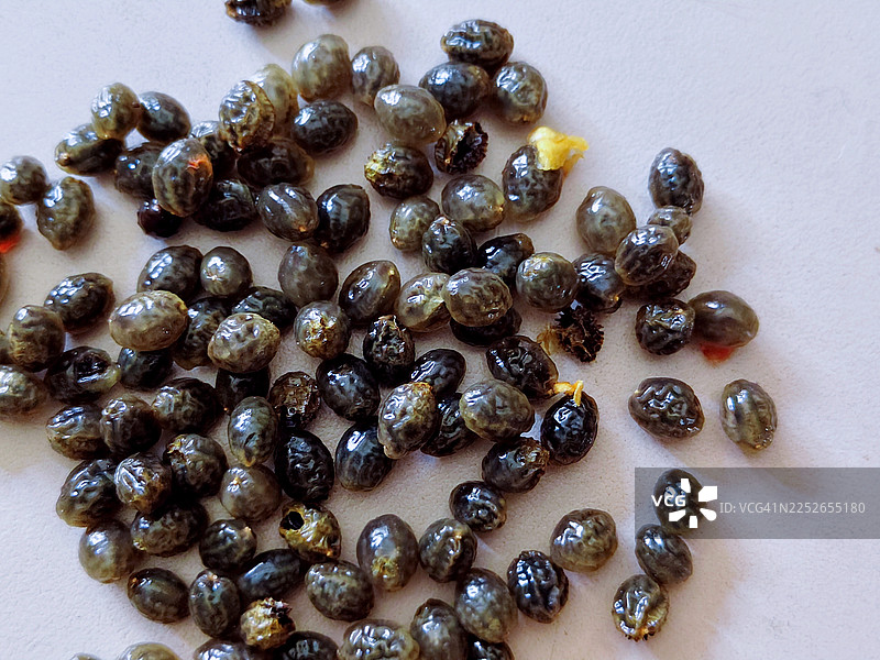 白色背景下木瓜籽的特写全画幅照片图片素材