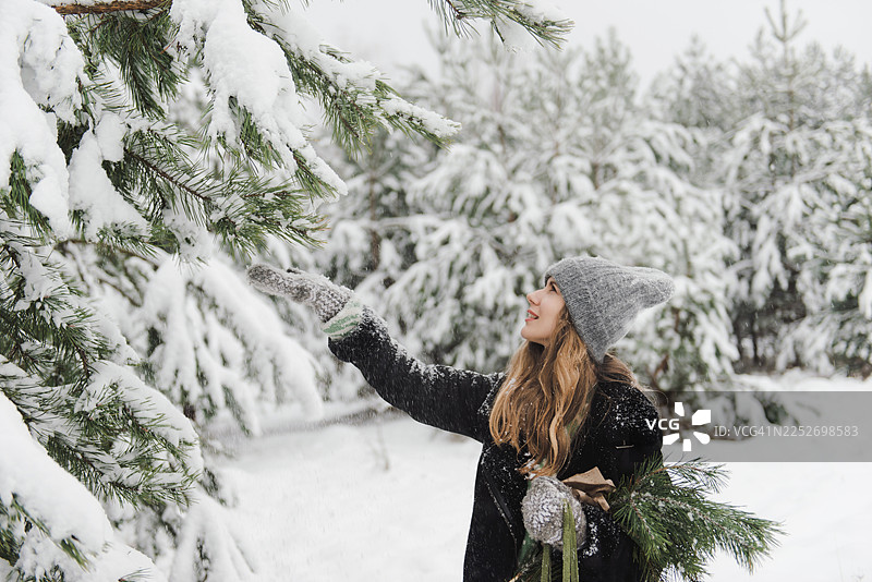 年轻女子在雪林中，周围是雪覆盖的树木和原始的冬季景观。年轻女子在冬季森林中摇动松树枝上的雪。图片素材