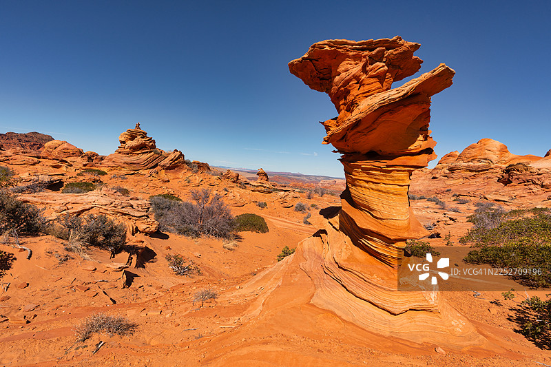 南郊狼镇图片素材