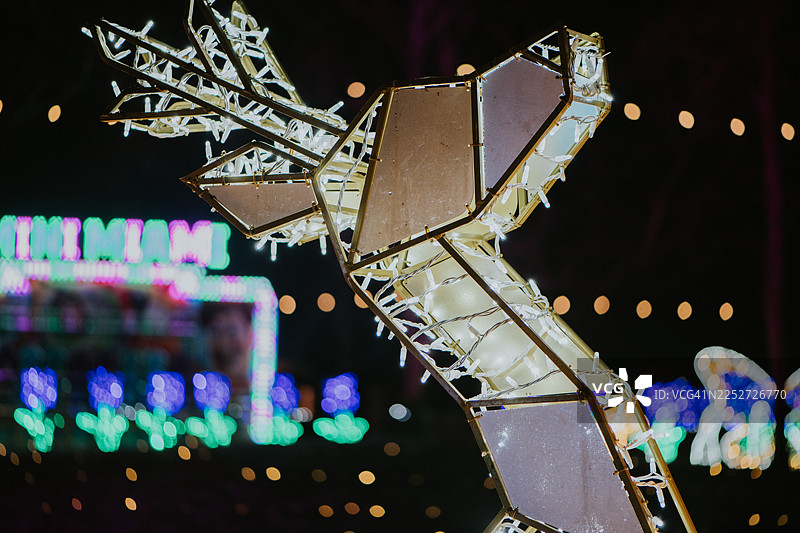 霓虹灯组成的驯鹿造型在黑暗中闪耀的特写图片素材