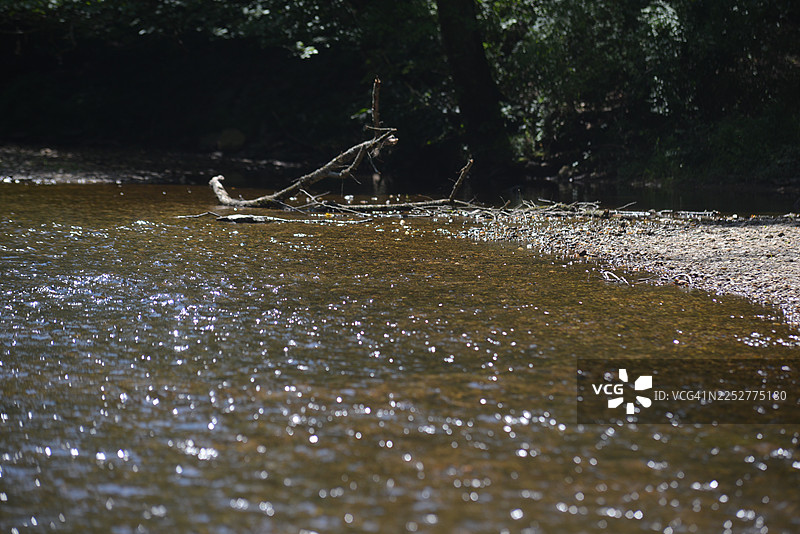 东布兰迪万溪图片素材