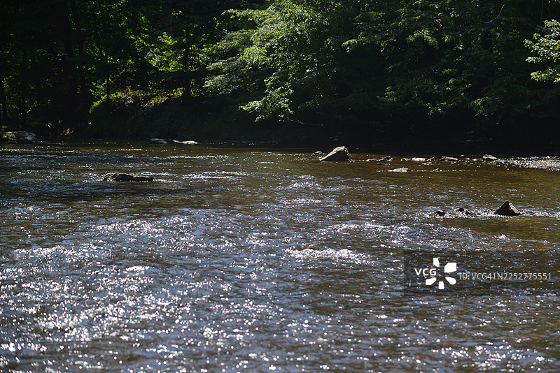 布兰迪万溪东支流图片素材