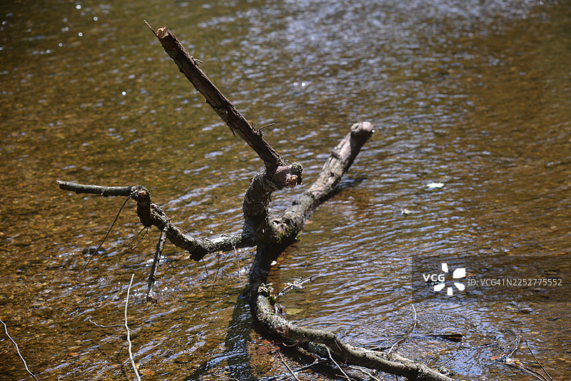 东布兰迪万溪图片素材