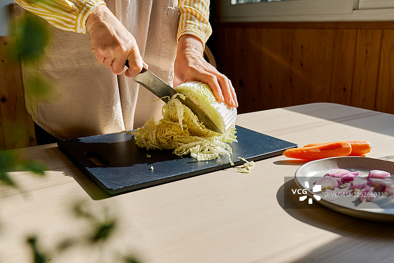围裙遮挡的女性正在砧板上切北京白菜、大白菜或中国白菜图片素材