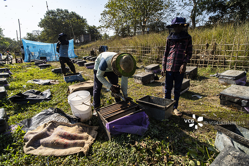 印度的养蜂人图片素材