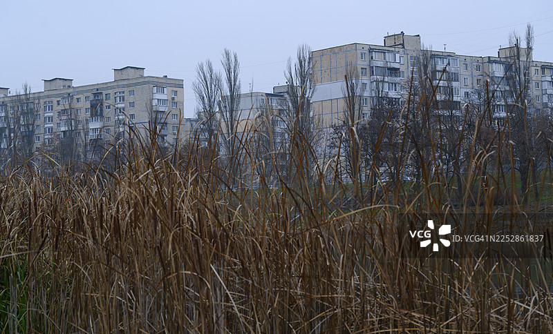 城市景观，旧公寓楼前有芦苇图片素材