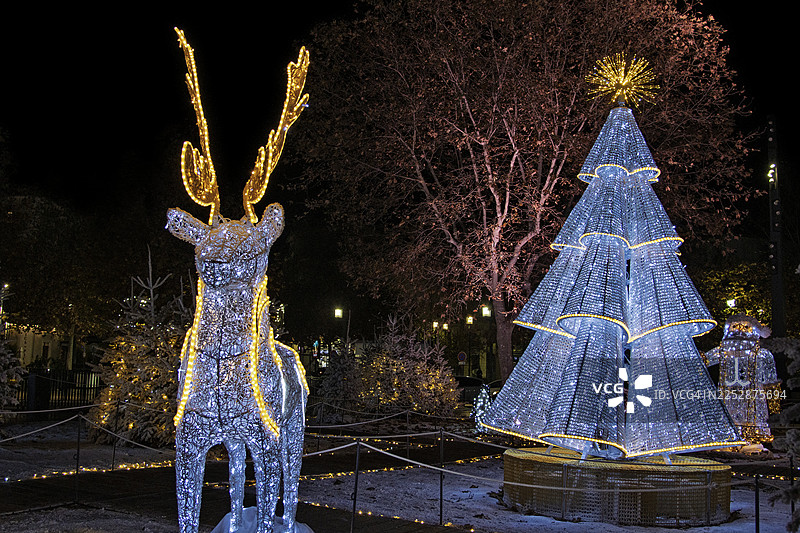 法国贝济耶的一只驯鹿和一棵亮灯的圣诞树图片素材