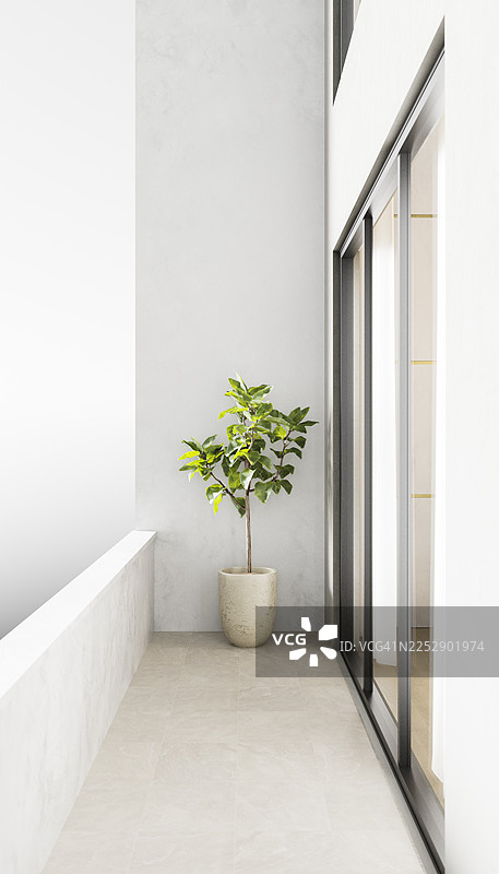 郁郁葱葱的盆栽植物点缀的极简主义现代阳台图片素材