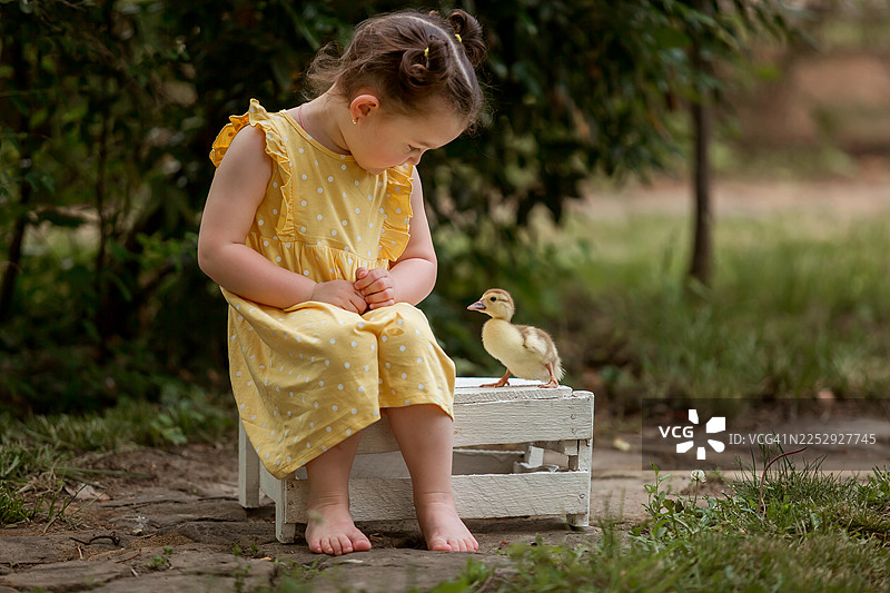 小女孩在花园里与小鸭子在一起。图片素材
