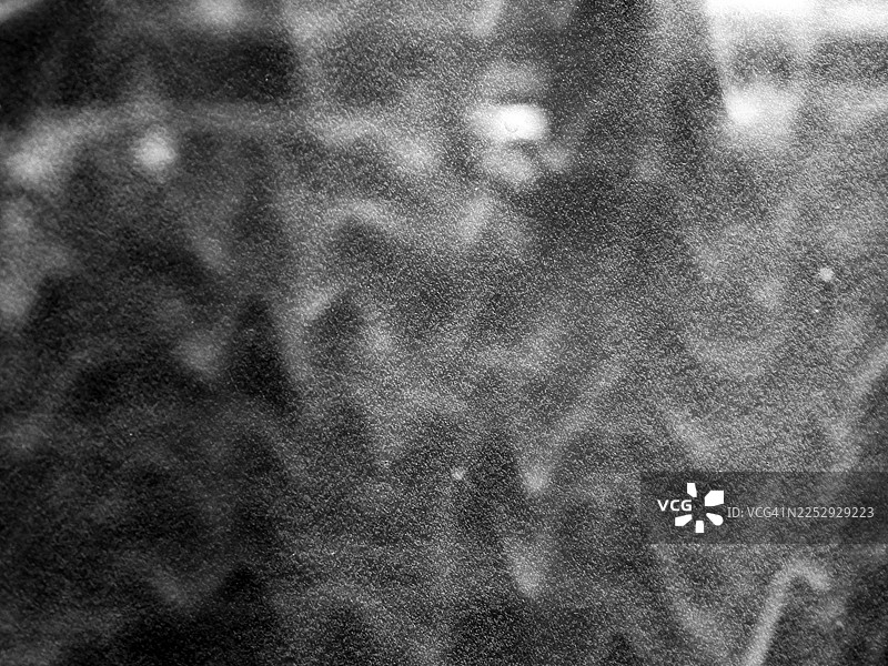 特写镜头，窗户背光下的白色纹理油漆条纹。阳光与阴影。黑白。比利时布鲁塞尔。图片素材