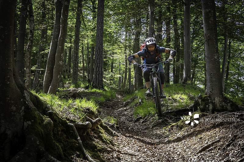在郁郁葱葱的绿色森林中进行山地自行车越野。图片素材