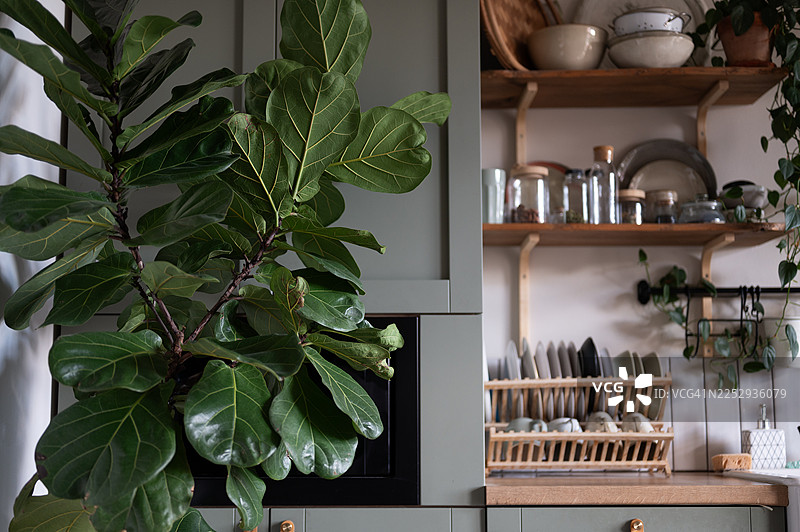 前景是带有大理石台面的空厨房岛台，绿色复古台面带有抽屉，上方悬挂着吊灯，罐子里装满了鲜花，背景模糊。图片素材