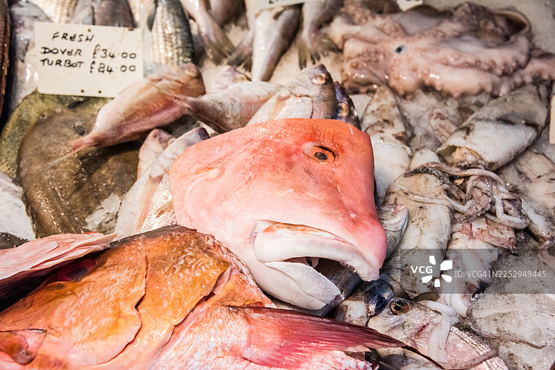 市场摊位上冰鲜的鱼图片素材