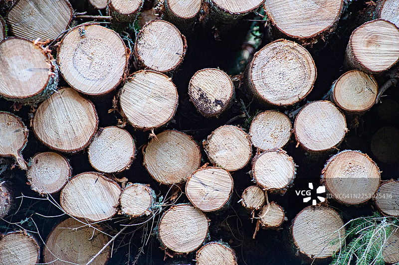 一堆树木图片素材