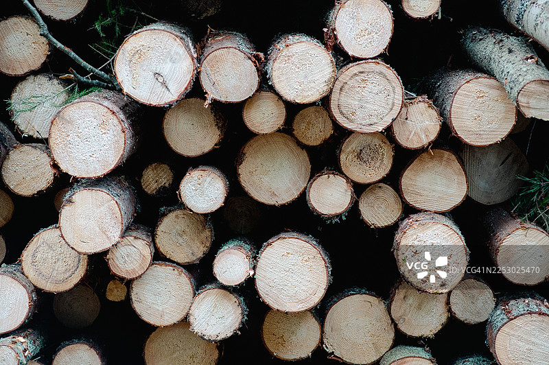 一堆树木图片素材