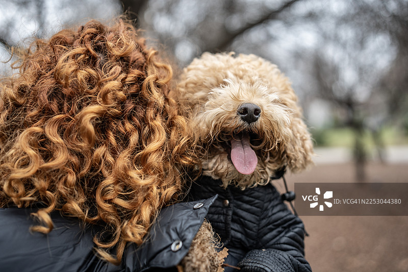 穿着夹克的卷毛拉布拉多犬在户外依偎，分享着温暖而有趣的时刻图片素材