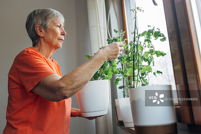 一位年长的女性正在窗台上享受居家园艺图片素材