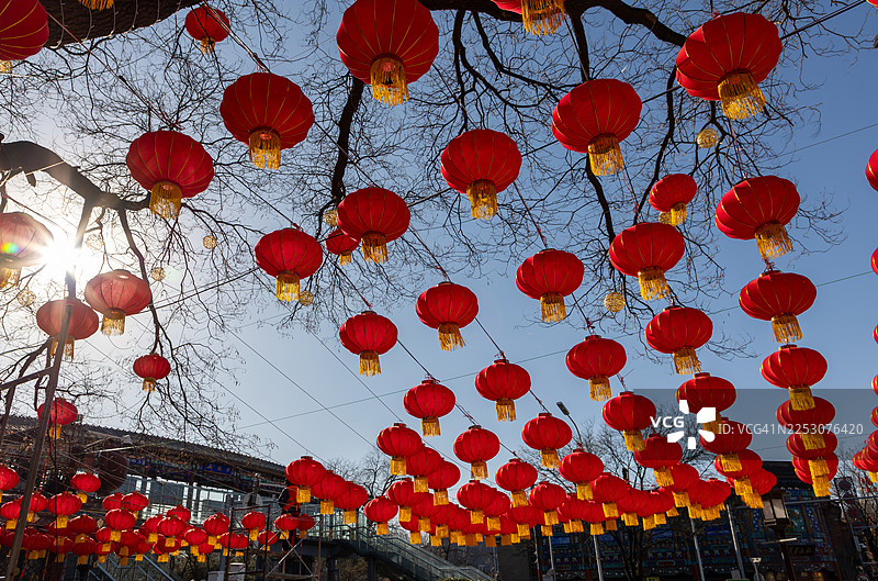 红灯笼这一中国传统文化元素在北京迎接春节。图片素材