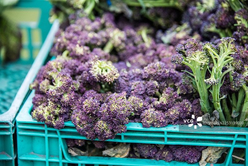 伦敦农夫市集上的紫花西兰花图片素材