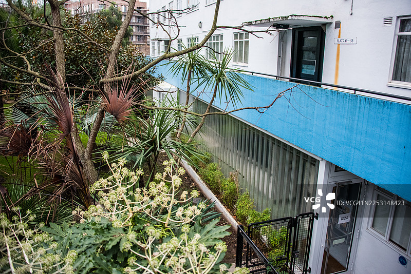 肯萨尔住宅郁郁葱葱的常绿植物图片素材