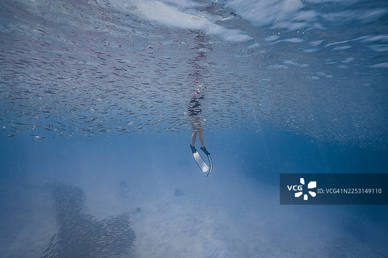 从水面下方看水下的自由潜水员图片素材