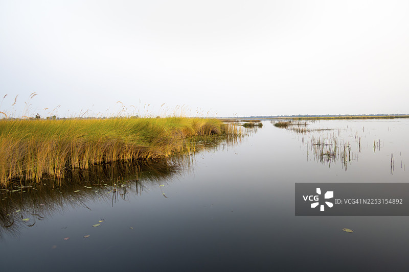 沼泽地貌，有芦苇和湖泊，位于博茨瓦纳莫雷米保护区卡卡纳卡泻湖图片素材