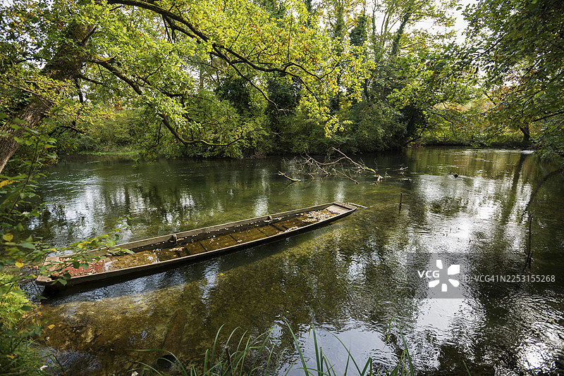 阿尔特莱茵河，莱茵河，陶贝格森自然保护区，卡佩尔-格拉芬豪森，奥尔特瑙，巴登-符腾堡州，德国图片素材