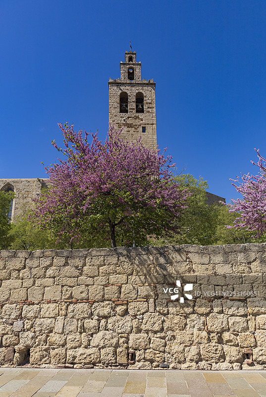 罗马式圣库加特德尔瓦列斯修道院的外部景观图片素材