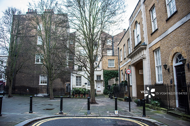 塔兰特广场的住宅庭院和树木图片素材