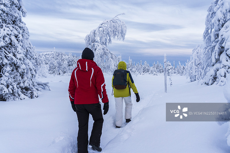 游客在雪林中游玩图片素材