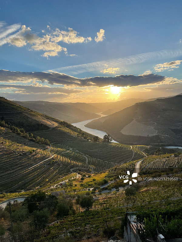 葡萄牙杜罗河谷葡萄园的日落图片素材