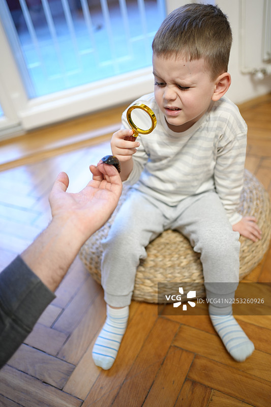 孩子用放大镜观察蟑螂图片素材
