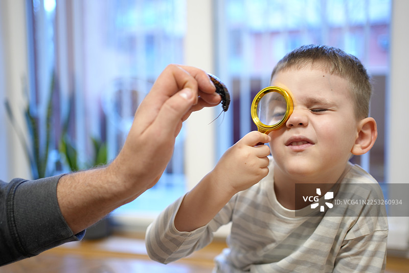 早期科学教育与自然好奇心图片素材