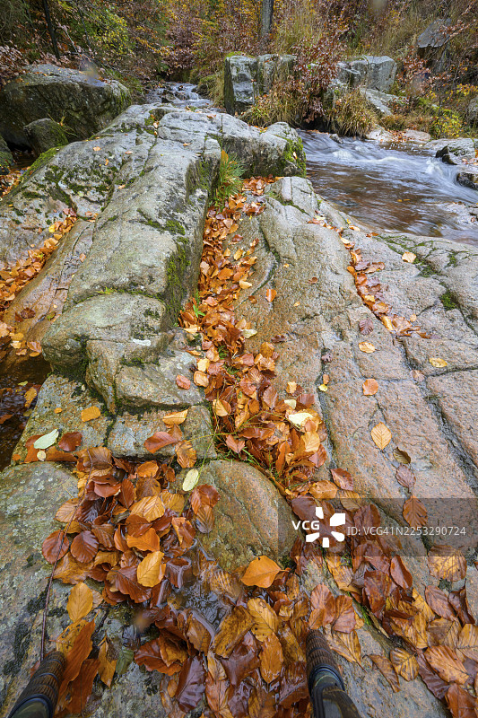 德国下萨克森州布劳恩拉格市科尼格斯克鲁格的哈尔茨国家公园博德塔尔自然保护区内，博德河在光滑的岩石上流淌，呈现出秋天的色彩。图片素材