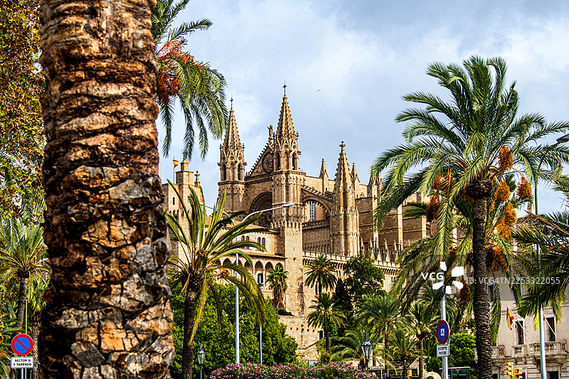 马略卡大教堂。圣玛丽亚大教堂和棕榈树。西班牙马略卡帕尔马。图片素材